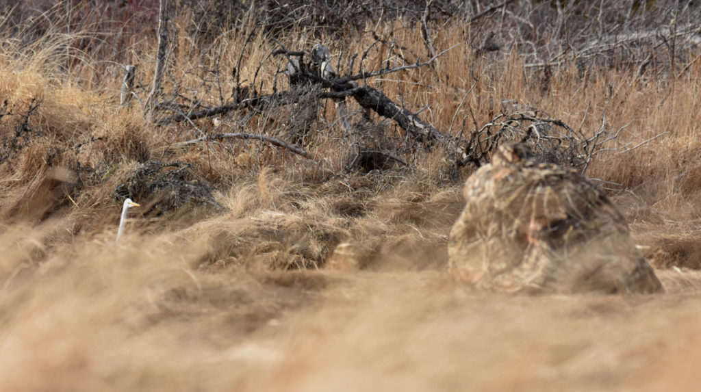 nature photographer Adam Hill in his blind