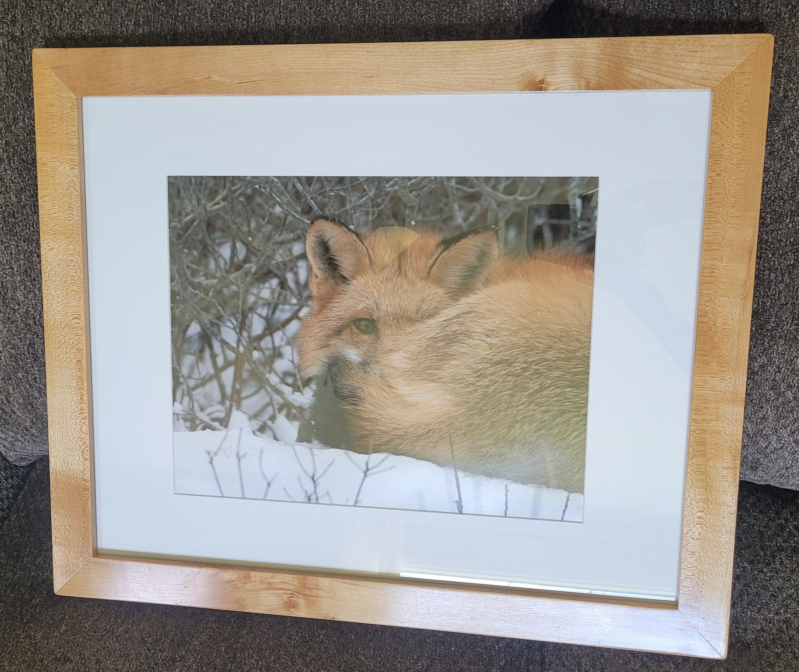 framed Red Fox 